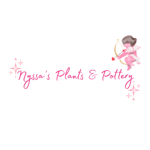 Nyssa’s Plants and Pottery